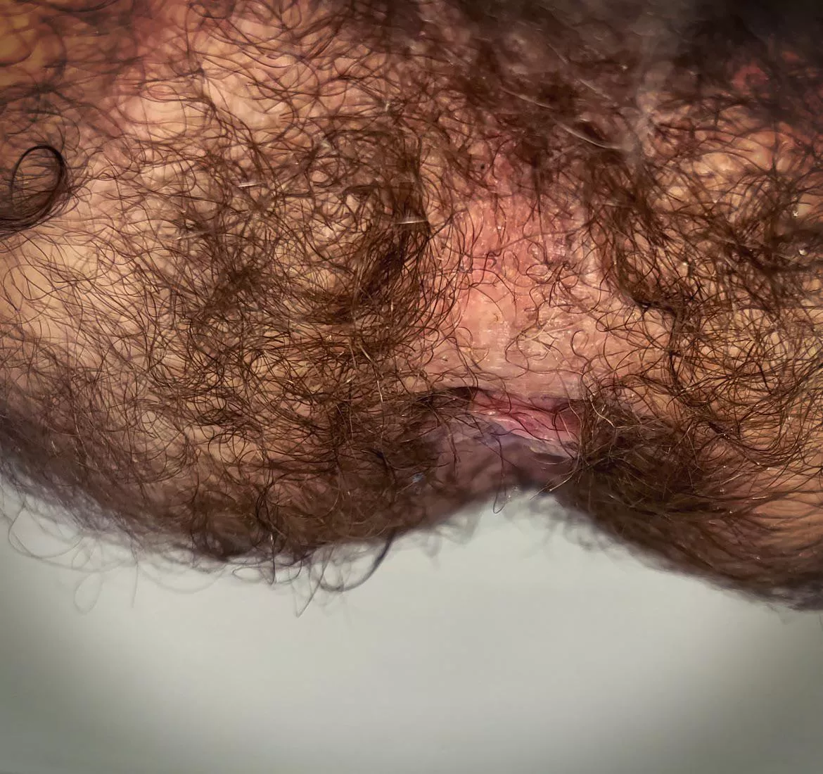 My hole and taint are so damn hairy….. posted by letsdothis76