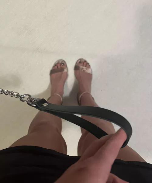 My husband is gagged and collared. What should I do next? by madamemoxie