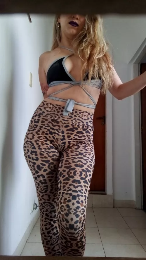 my husband Is not here. do you coming? [image] by pipinaonfire