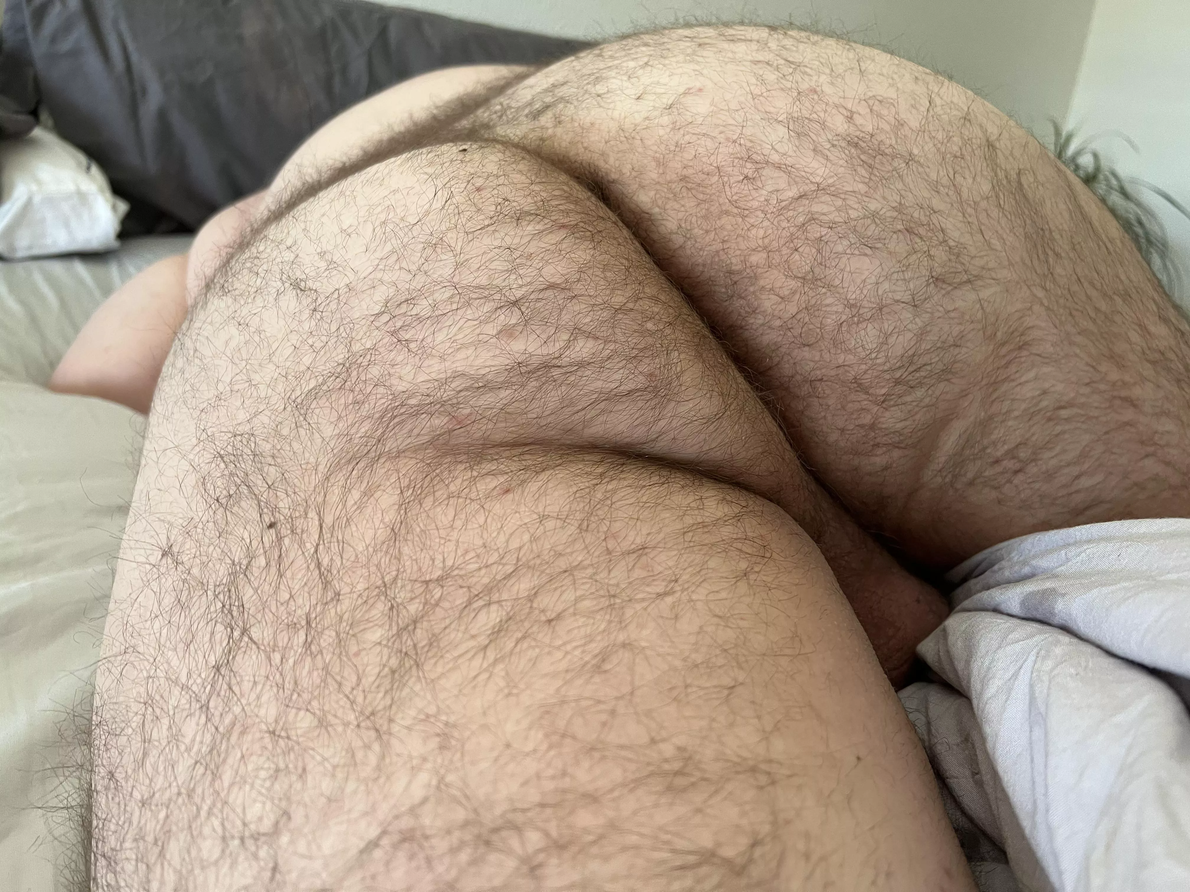 My husbands hairy man ass 😍 posted by BruxoCub