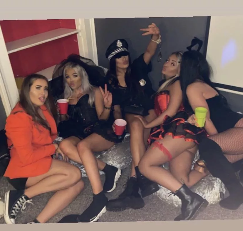 My kinda scene 😝 posted by LumpyDragonfruit6104