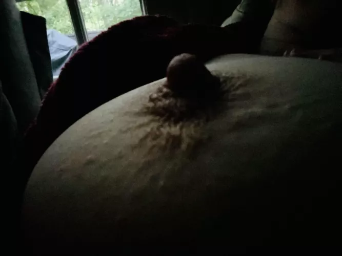 My kitty in the dawn’s early light by icthus_medicus