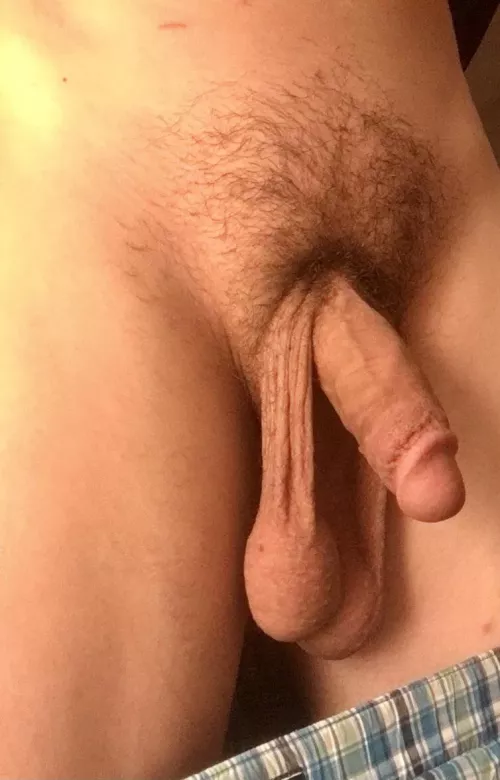 My large low hangers by Friendly_Device_4732