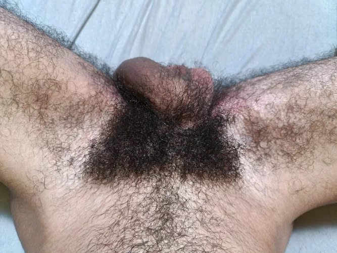 My little bush by Thi4GoF