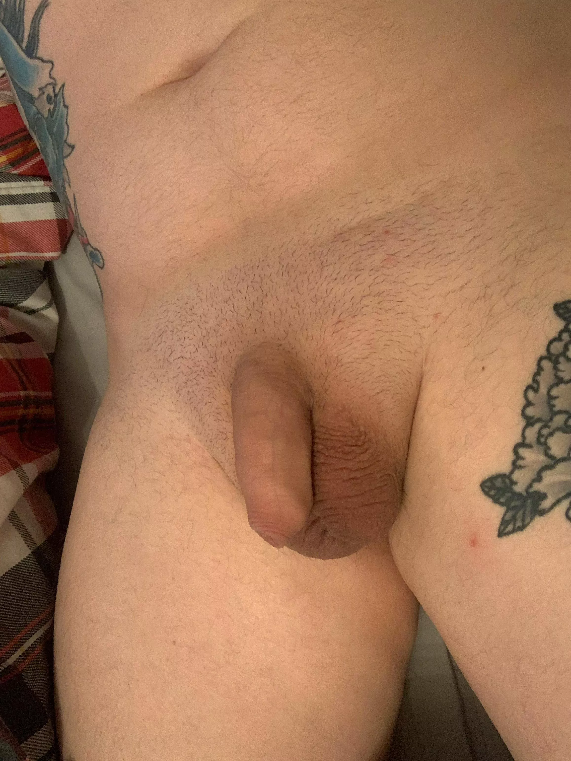 My little softie posted by Ashamed-Confidence55