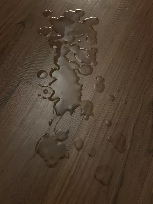 My load. Can you imagine playing the “soggy biscuit” game with me?? Haha by HomeskoolPromKing