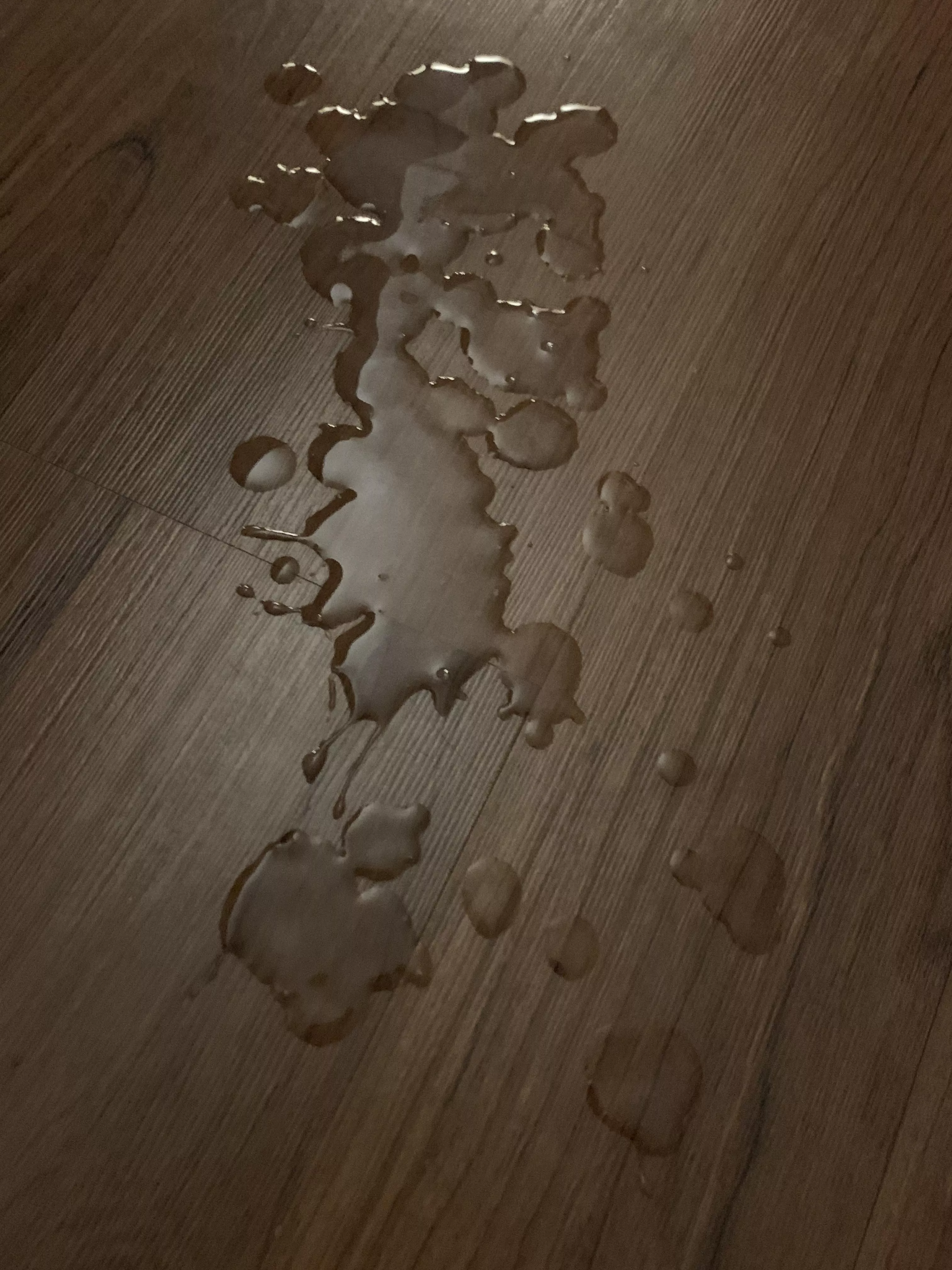 My load. Can you imagine playing the “soggy biscuit” game with me?? Haha posted by HomeskoolPromKing