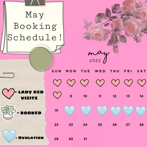 my May booking schedule is open! i’d love to wear something or film something for ya! 👀🥰 I’m [selling] an assortment of items you’re missing out on! kik: mysticmel94 💦🥵 by mysticmel94