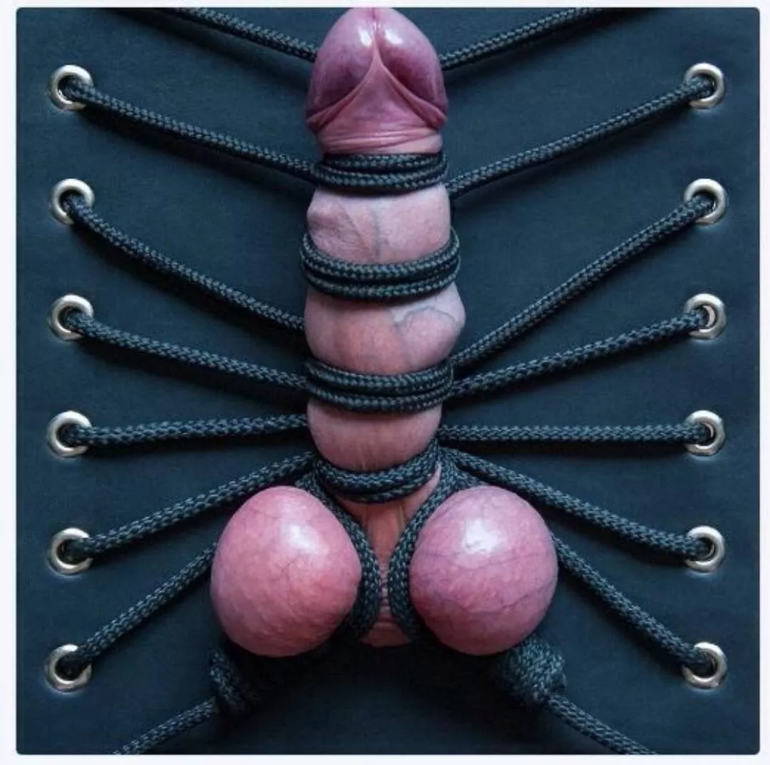 my Mistress is giving professional ratings... posted by Parkapeen