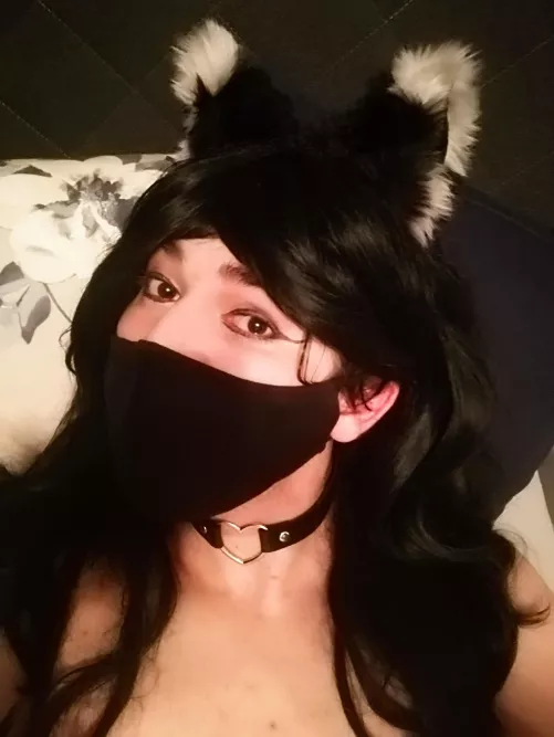 My new collar by J-Kawaii