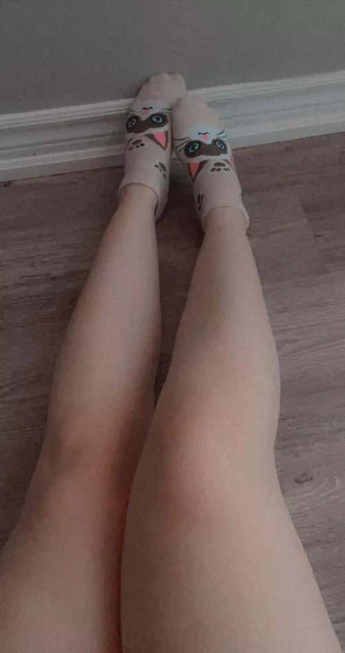 my new kitty socks by bunnigloss