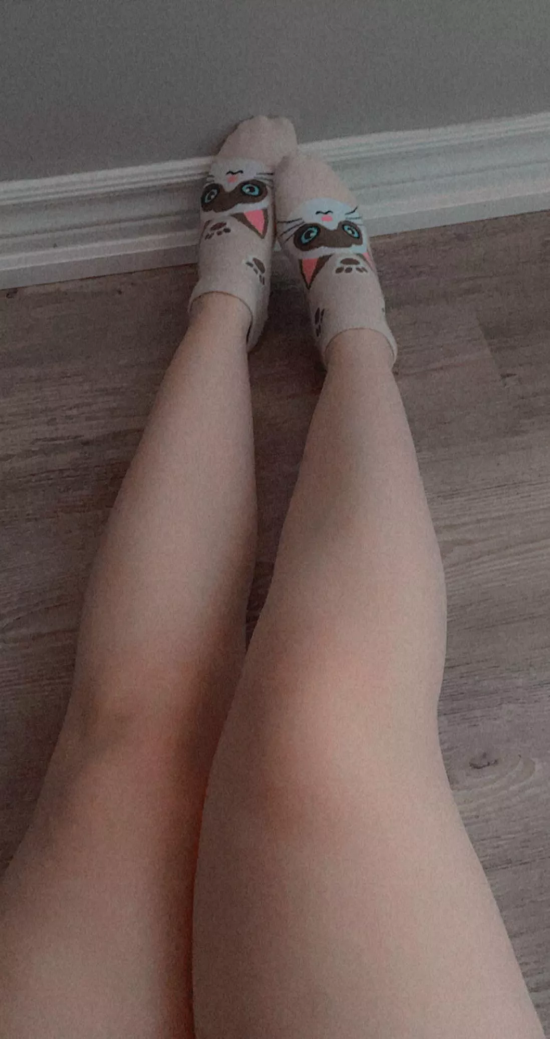 my new kitty socks posted by bunnigloss