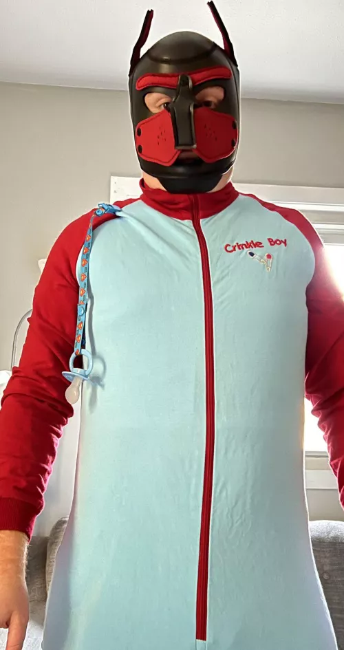 My new pup hood adds a whole new dimension to being an Abdl by crinklepupboy