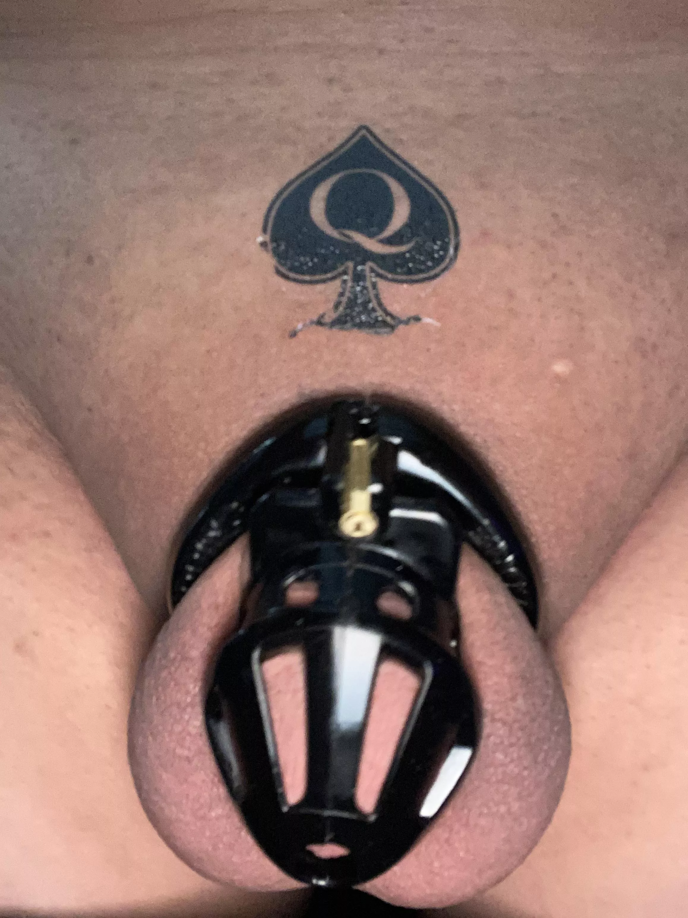 My new toy ♠️ posted by MiddleOfNoWhere81