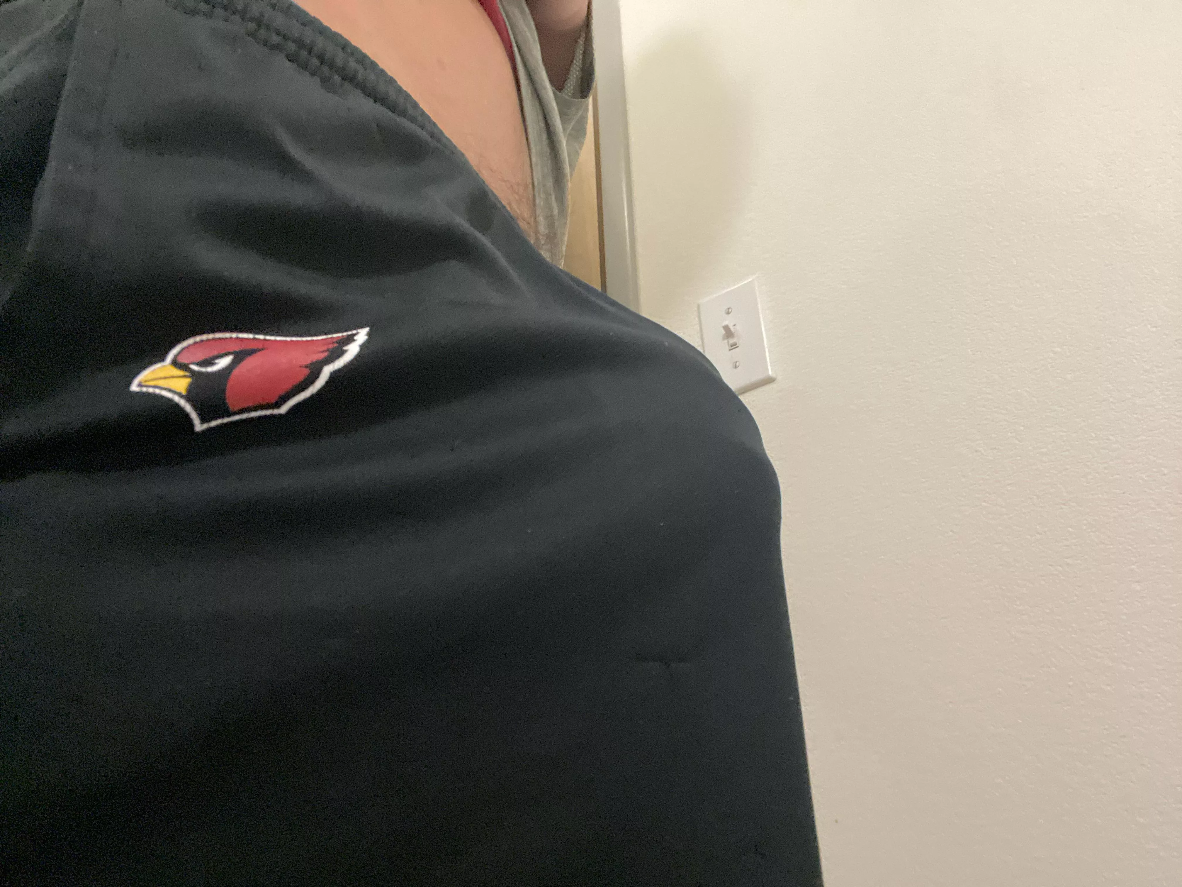 My NFL team let me down, but you wouldn’t right? posted by Successful-Carpet-65