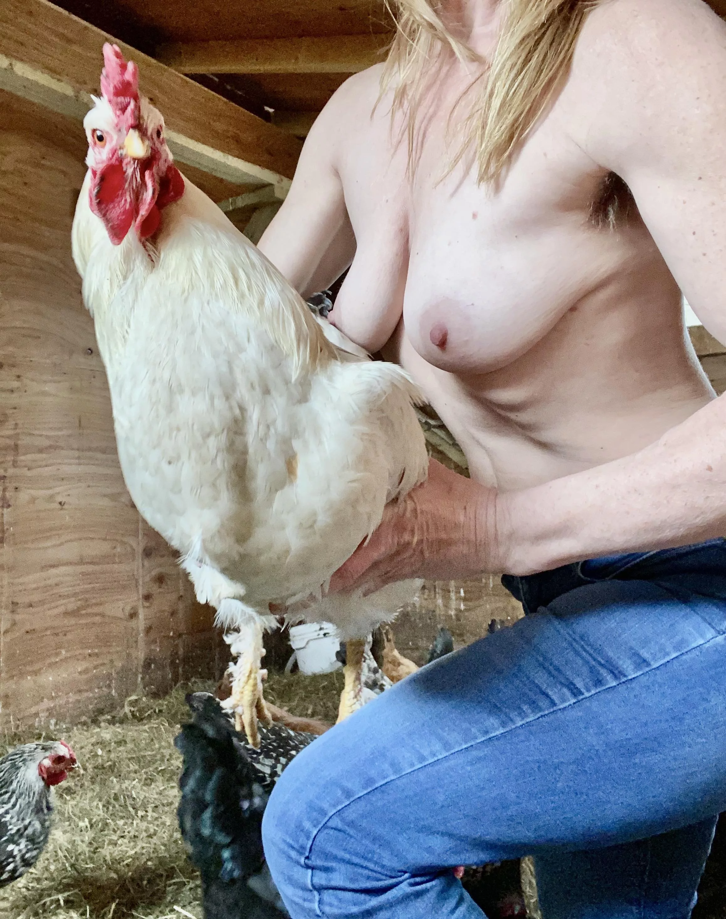 My nipples with my favorite cock posted by WendyPitts