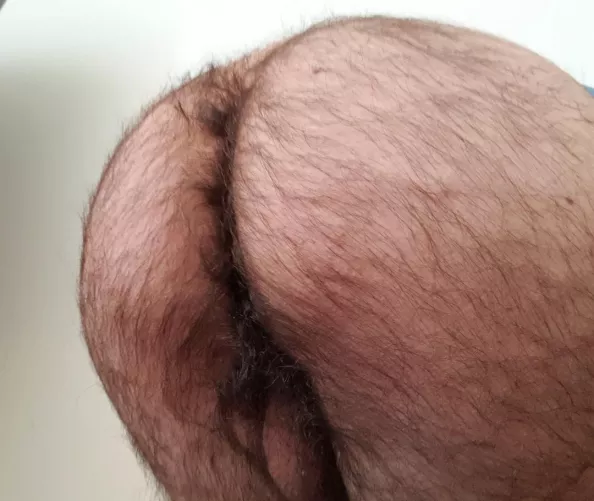 my otter ass is ready for you, dm me ;) by matej3443