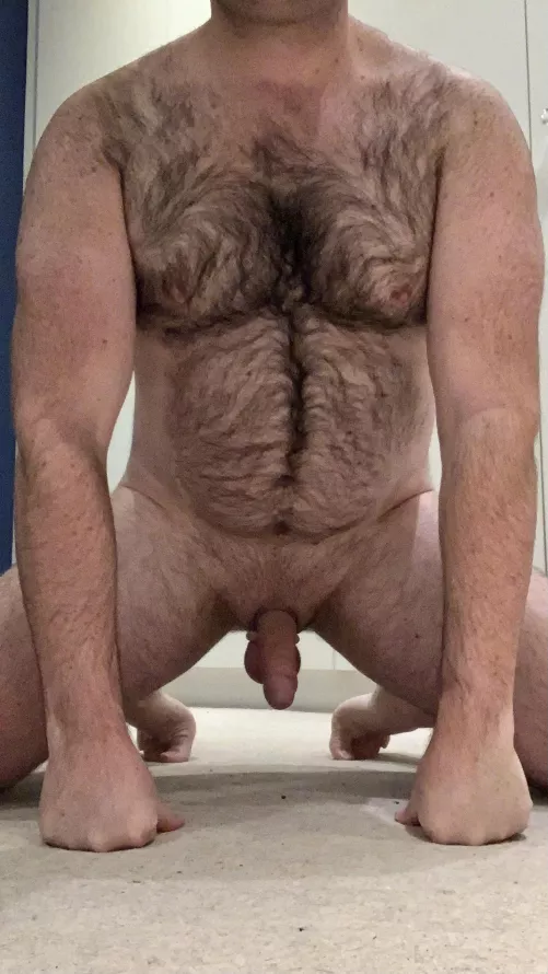 My parents raised a good obedient oldest son by pup_husky_UK