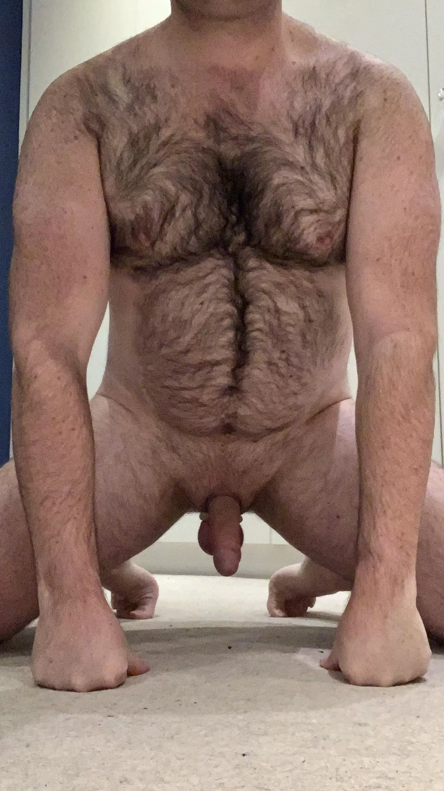 My parents raised a good obedient oldest son posted by pup_husky_UK