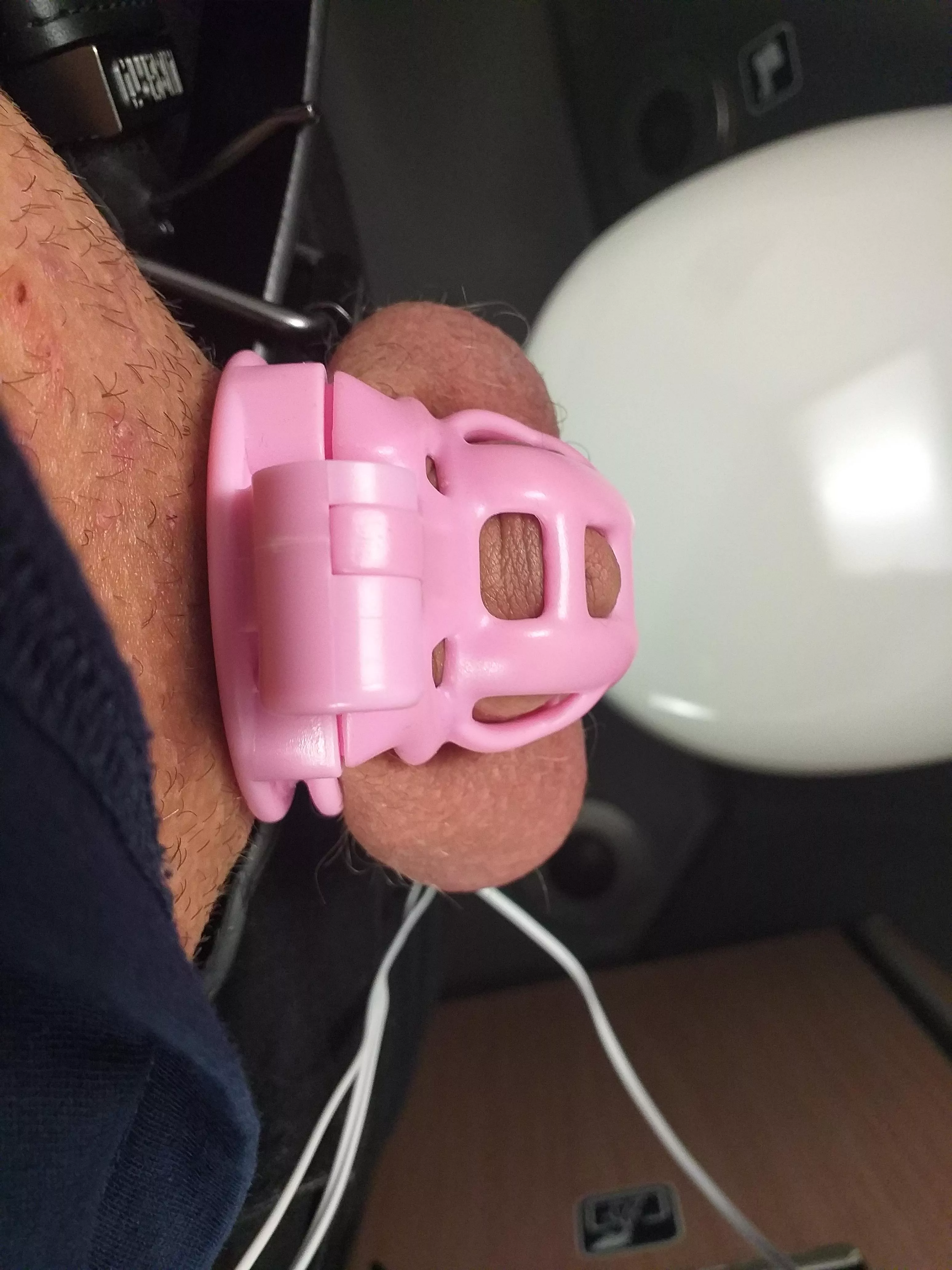My pets pretty pink chastity cage posted by Neat-Issue-5601