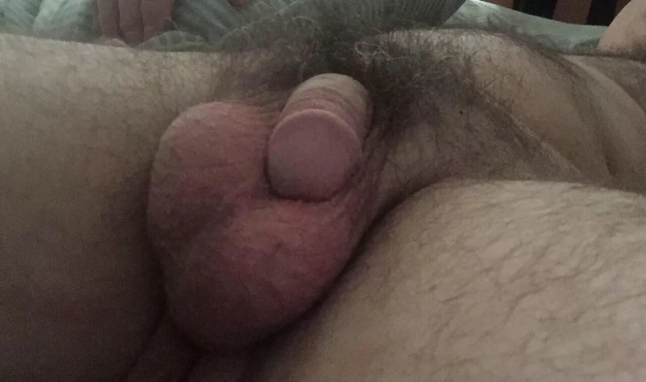My pubes posted by justme7923