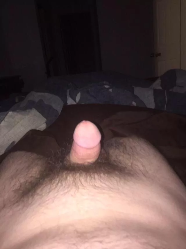 My pubes posted by justme7923