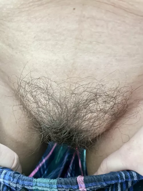 My pubic hair covers everything (f33) by MacL0Vein