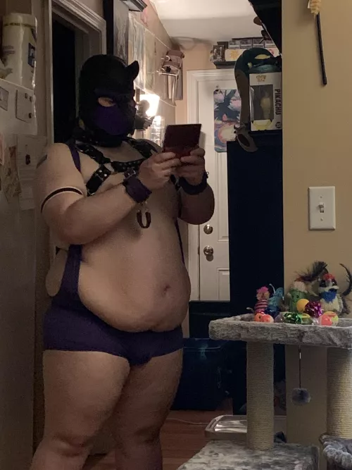 My pup playing games in his gaming alley by ifidietomorrow