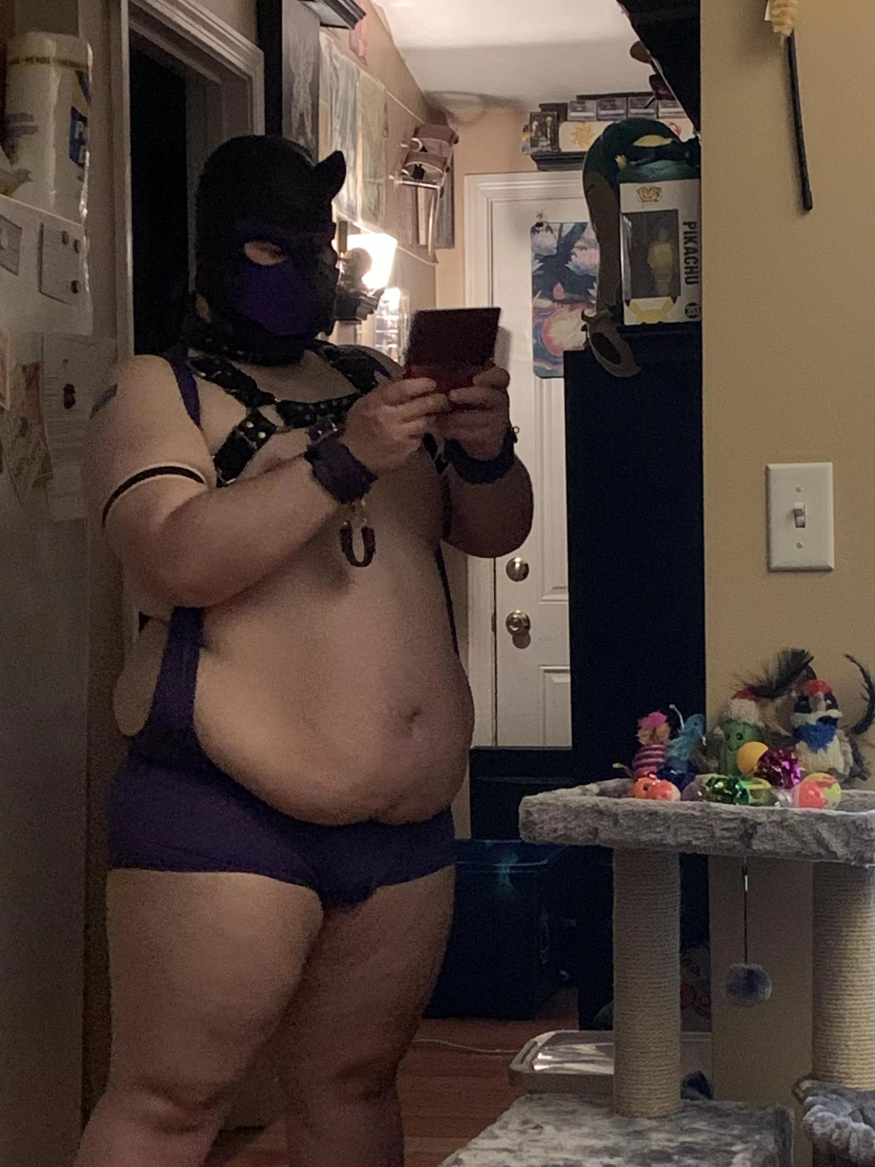 My pup playing games in his gaming alley posted by ifidietomorrow