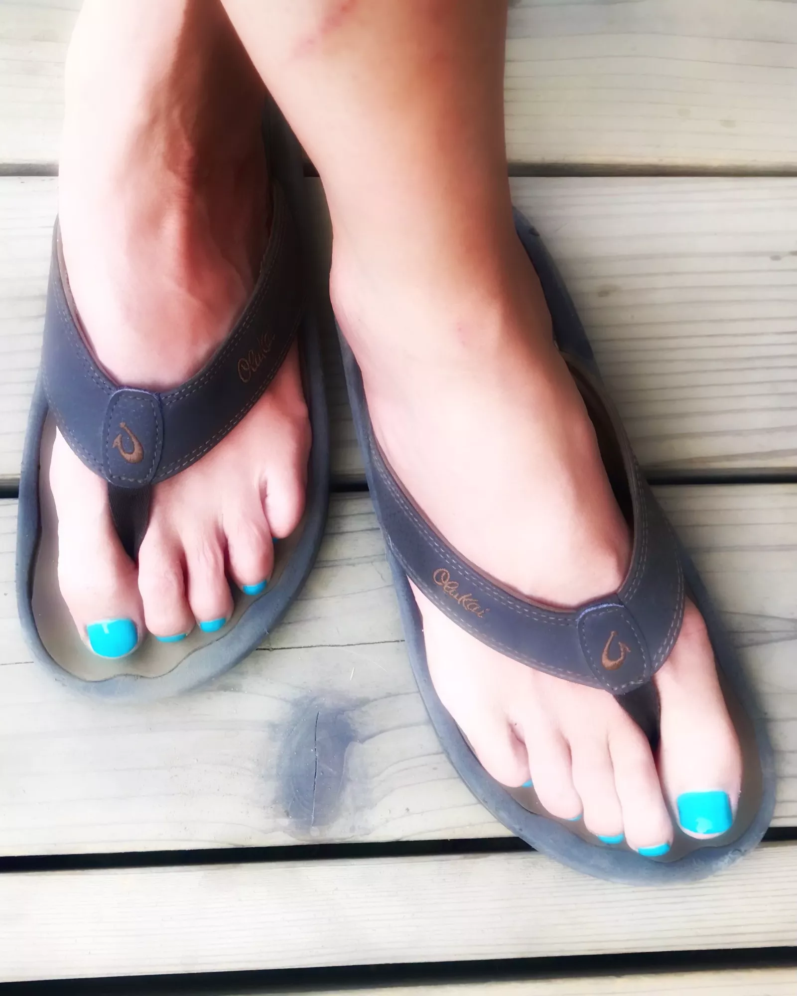 my puppy ate these flip flops posted by urzoombkgrnd