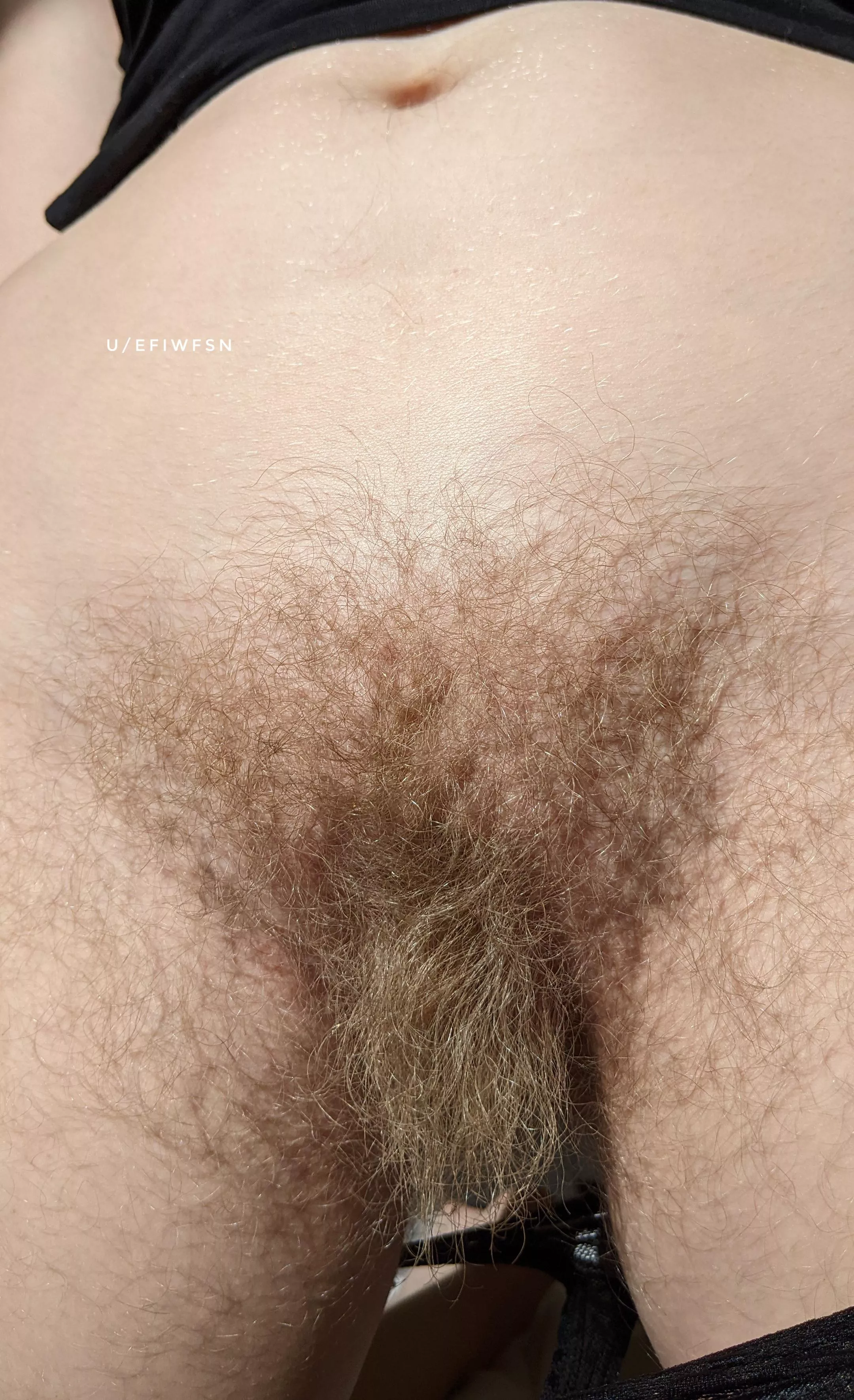My pussy is hairier than most cocks posted by efiwfsn
