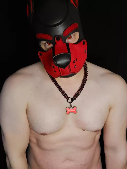 My red hood 🥰 by PupKarma