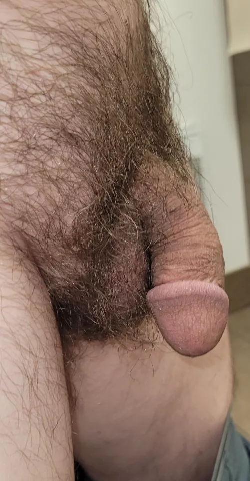 My soft cut cock. 50/WI by hardondevil