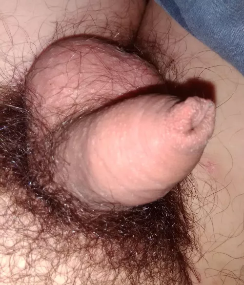 My soft pp [25] by carl800