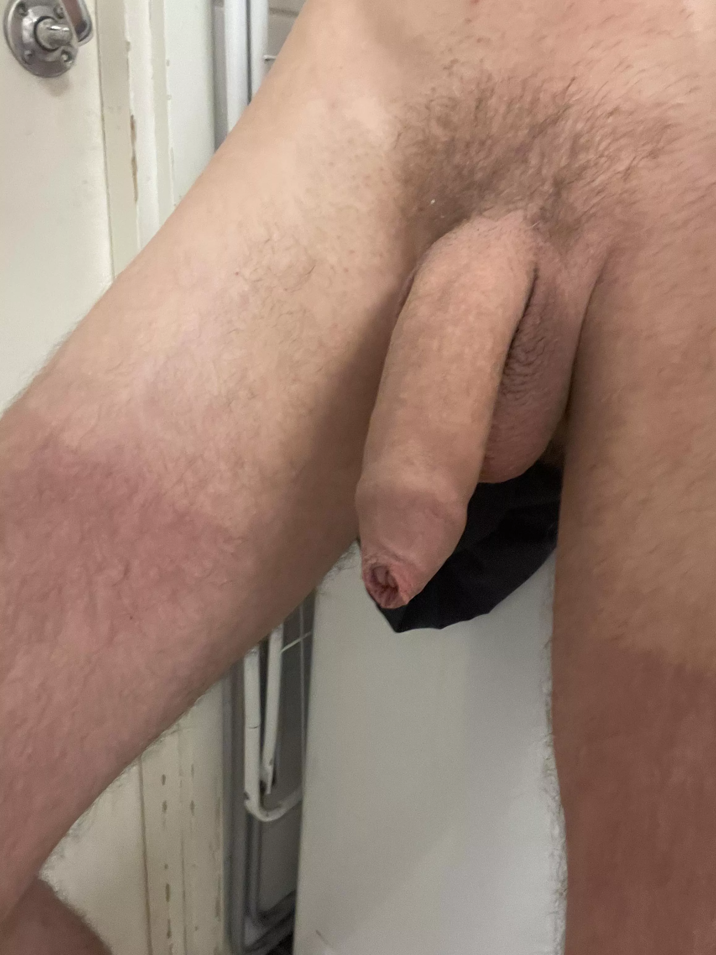 My softie posted by Enough_Combination79