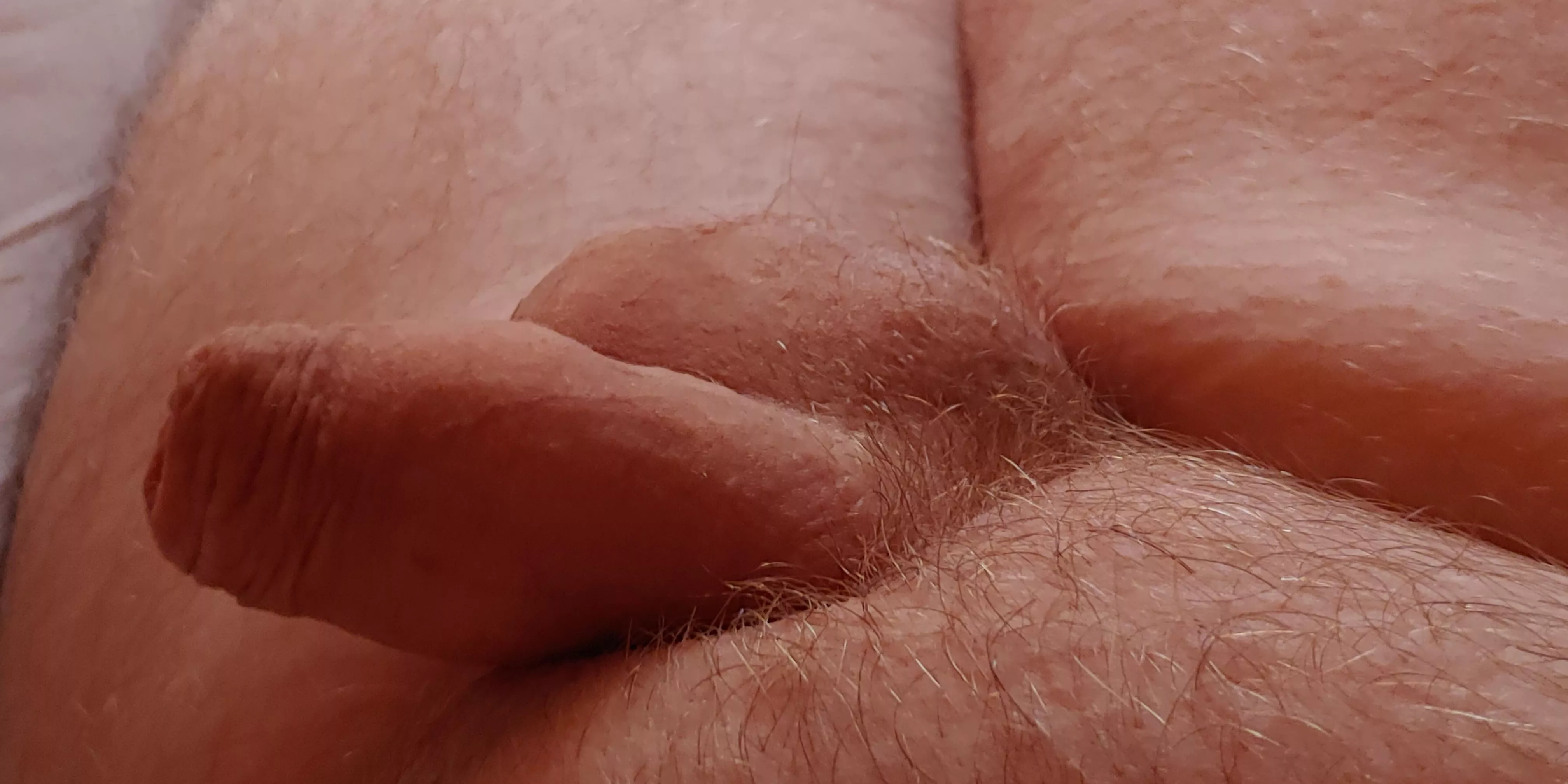 my softy posted by Accomplished_Duty384