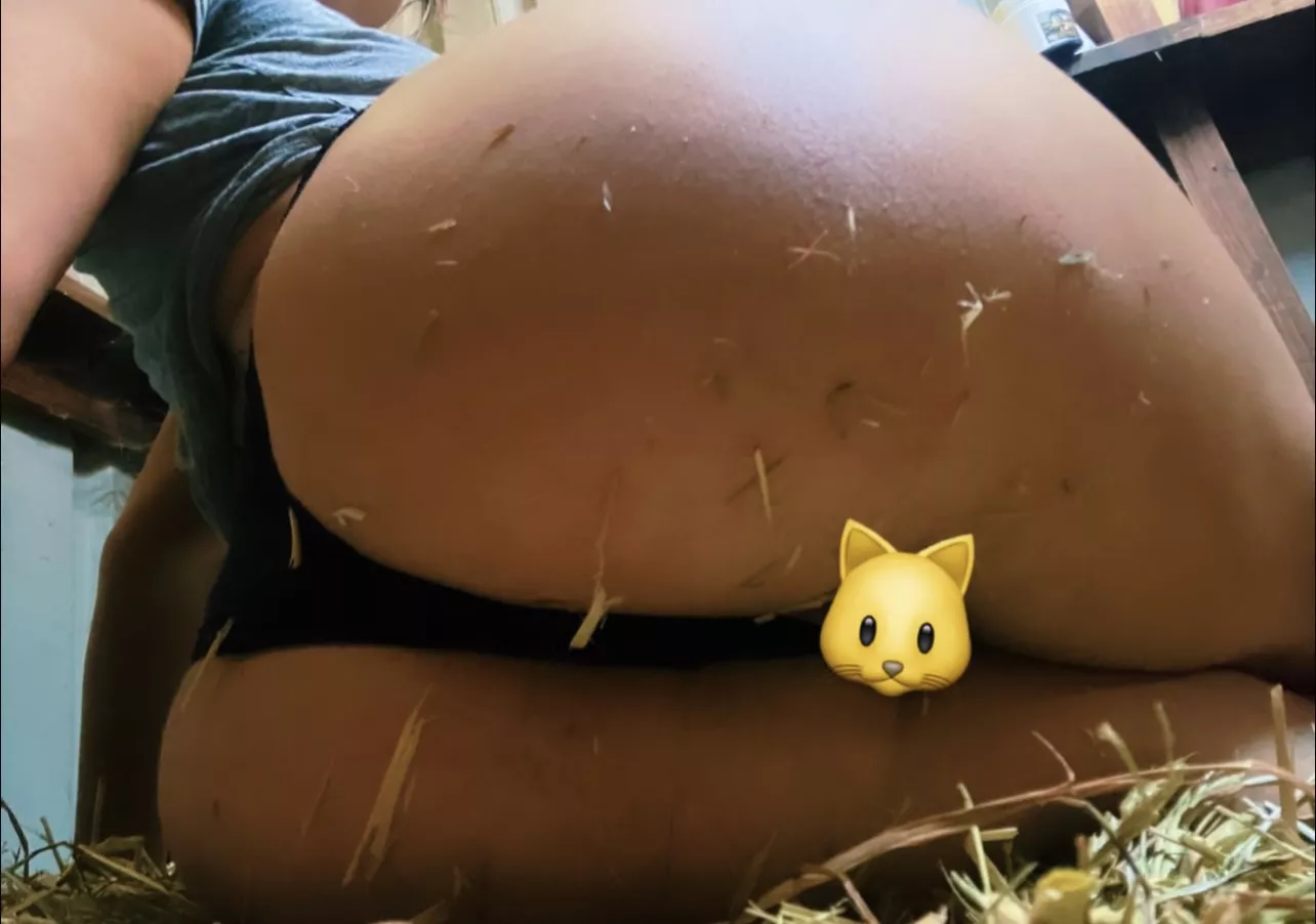 My sweaty ass is basically swallowing these panties posted by aussiebambi1