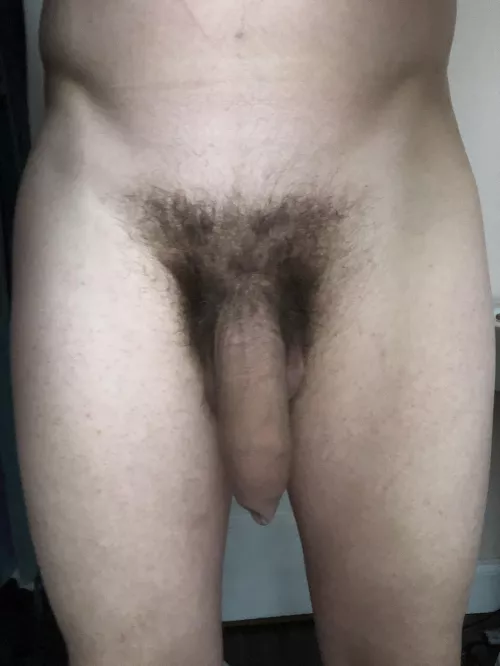 My thick hang low by AmericanNatural31