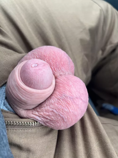 My tight sack by DaFurryOne