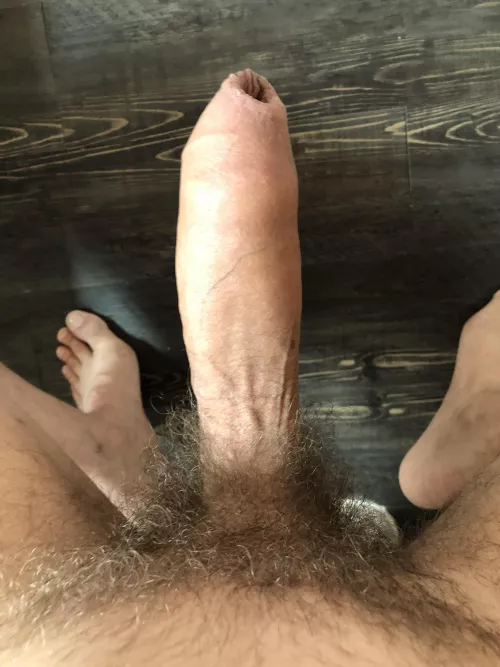 My uncut American cock by AmericanNatural31