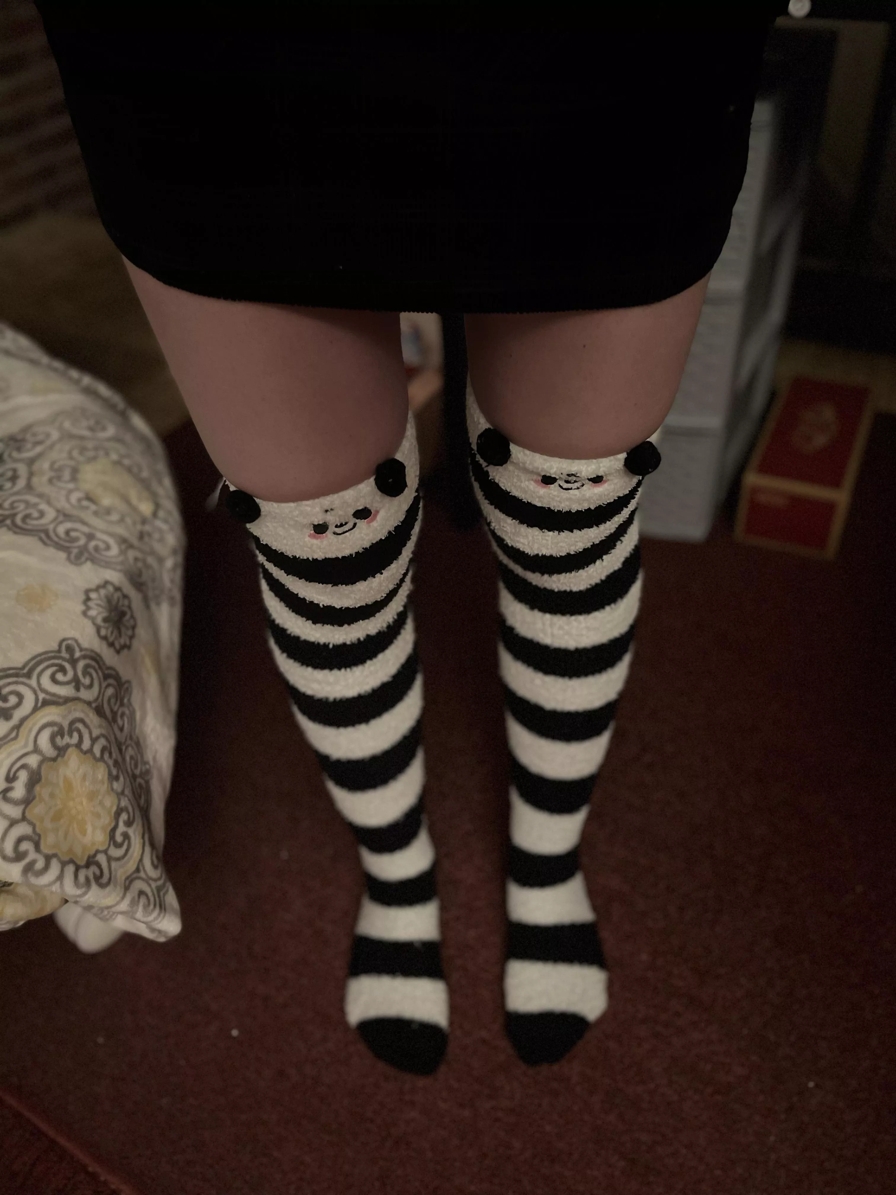 My underwear is almost as cute as these socks (if I had any on, at least ;) posted by summer_smores05