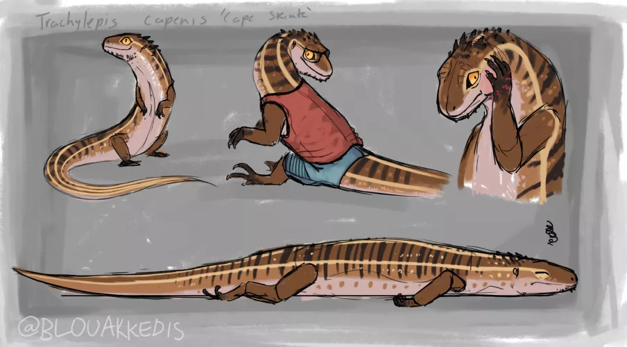 my unnamed skink sona, any suggestions? (art my me) by BlouAkkedis