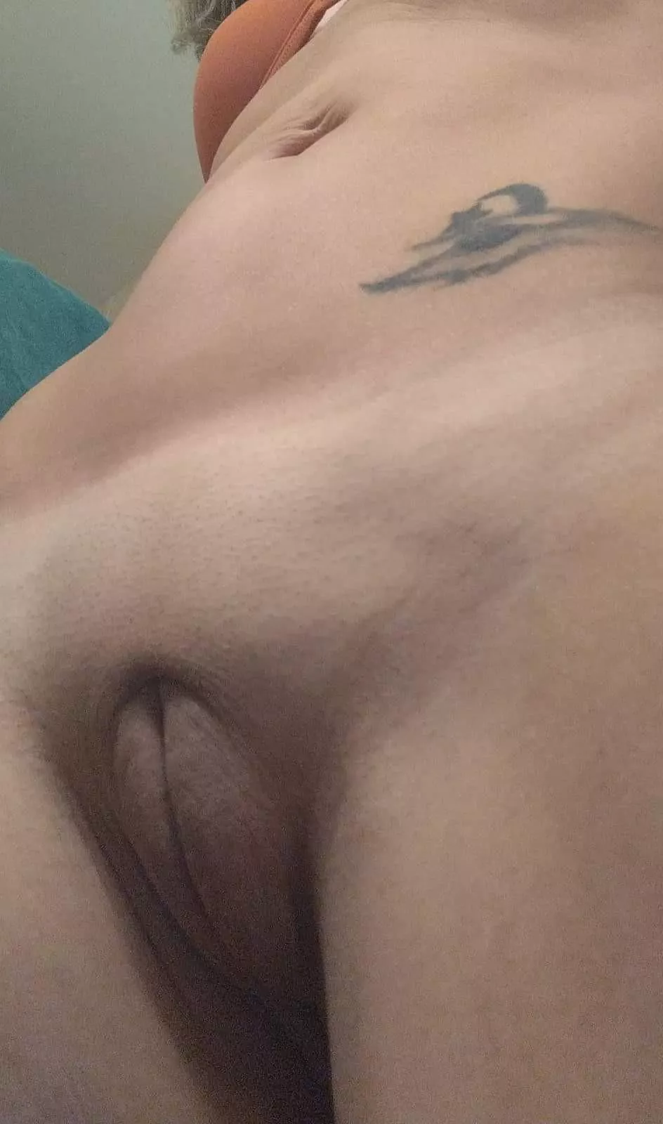 my wife just shaved her pretty pussy [35] posted by My-wife-naked
