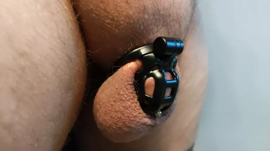 My wife's away so I can't play by Lockedpickle