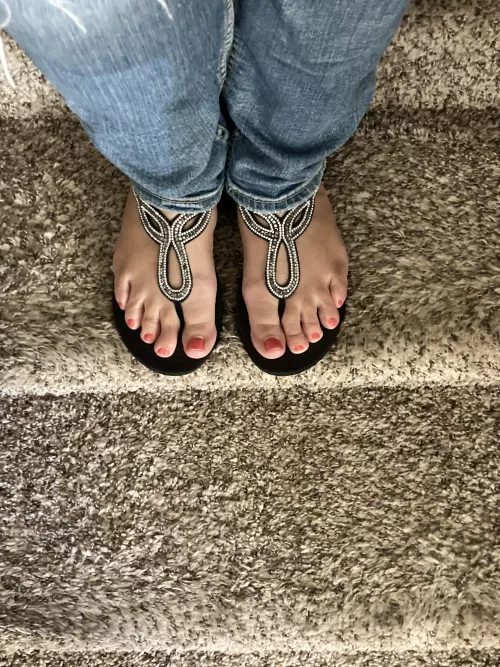 My wife’s feet by Training-Fish-2577