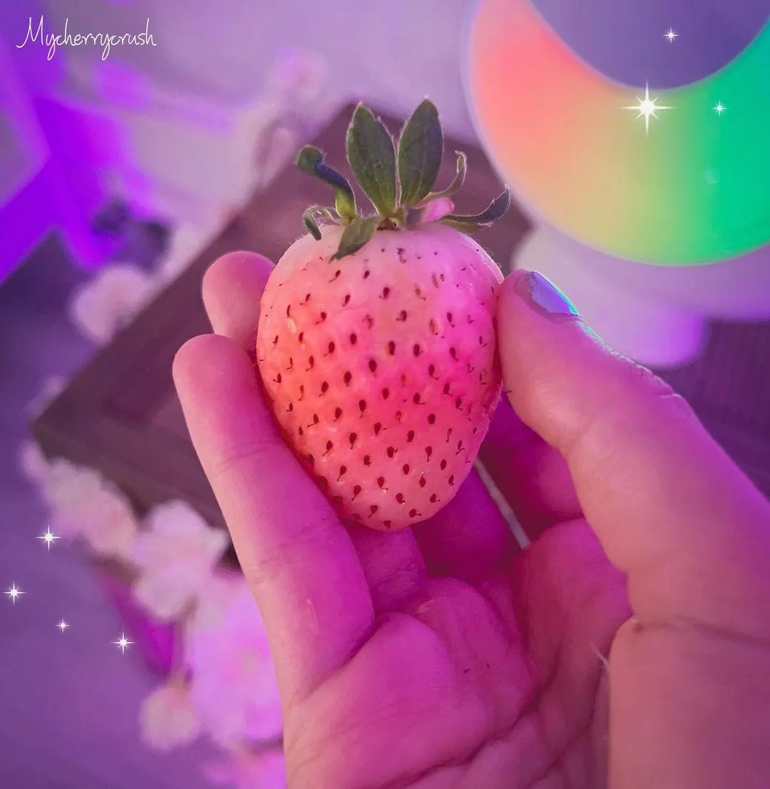 mycherrycrushx (@mycherrycrushx) [Instagram] posted by Maxwell-95