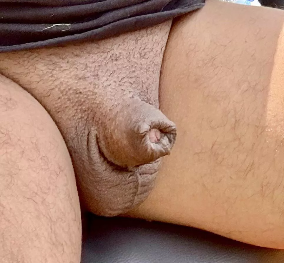 Naked yardwork for today. Let’s hope the misses doesn’t mistake my twig and berries for something that needs to be pruned lol [43] posted by Crushed-Peanuts