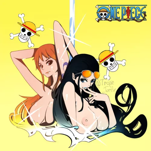 Nami & Robin/Panty & Stocking cover art (Tropic_Turtle) by TropicalWhale