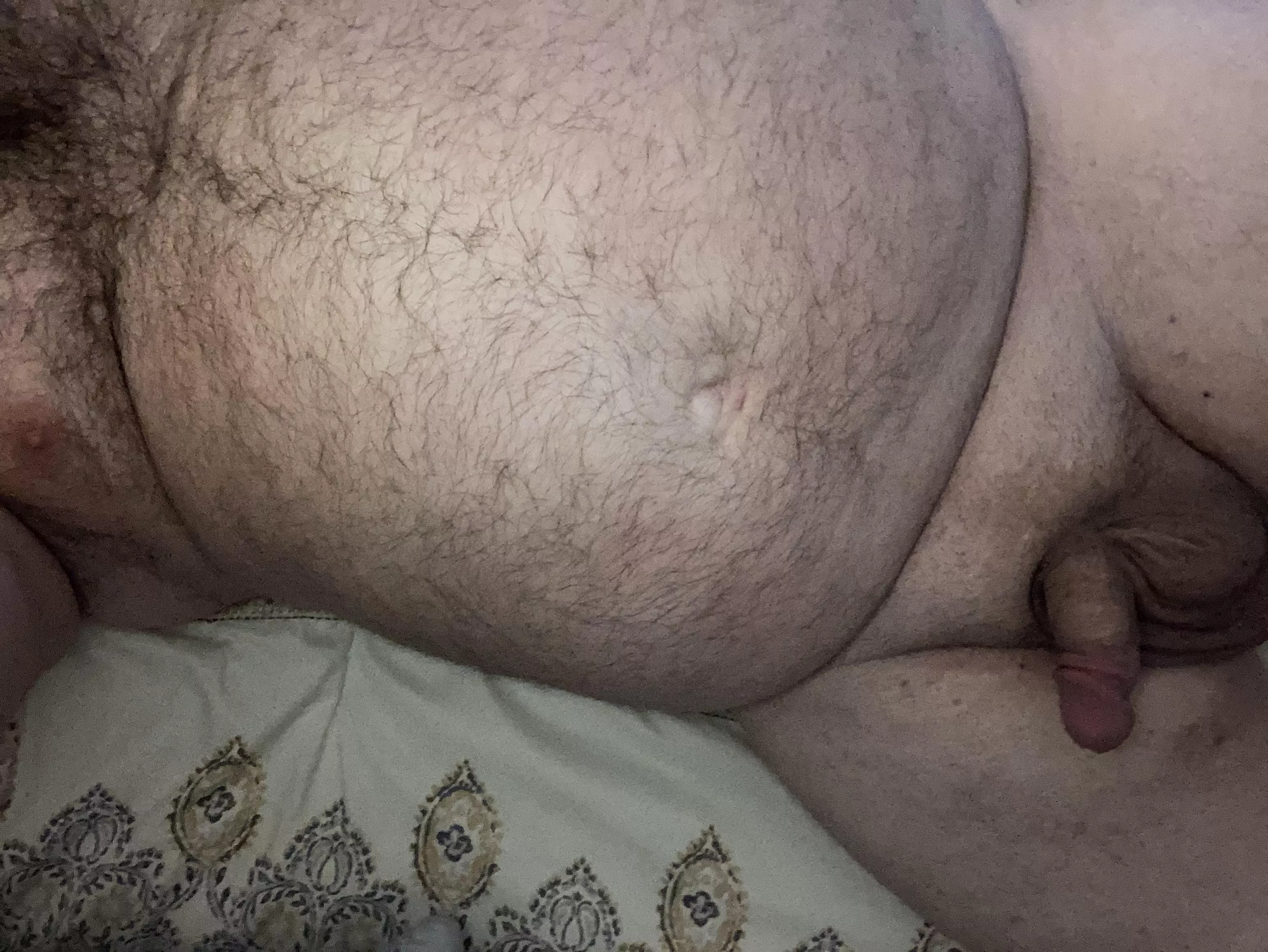 Nap time. Who’s cuddling? posted by baggs8454