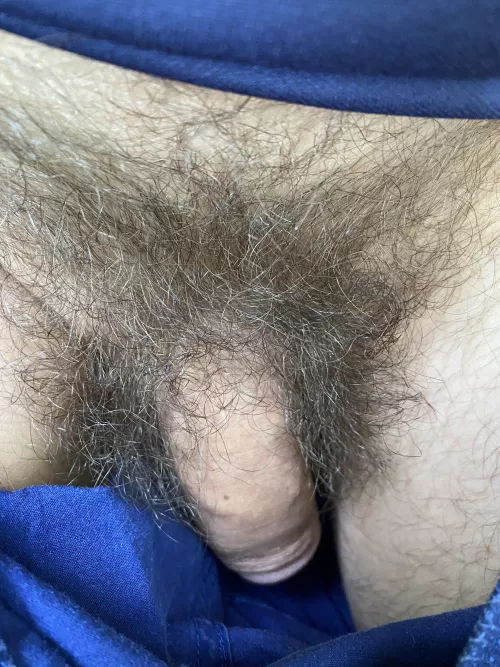 Natural bush by OutrageousSyrup-1